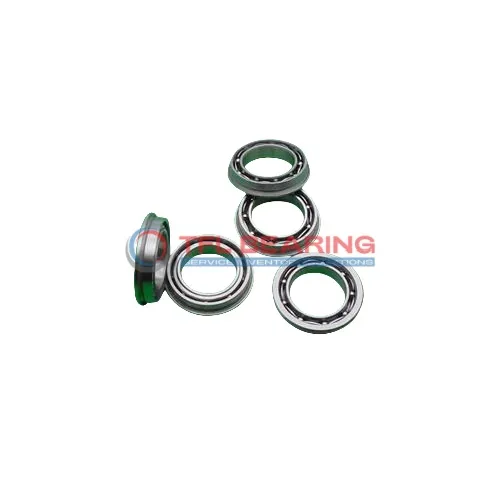 Flanged Deep Groove Ball Bearings W 617/3 R